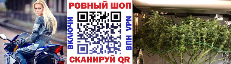 Все наркотики Алатырь Марихуана Меф КЕТАМИН Псилоцибиновые грибы МЕГА онион ГАШИШ КОКАИН БУТИРАТ