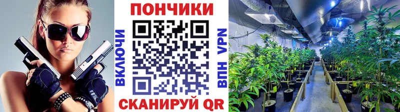 ссылка на мегу ссылки  Алатырь  Бошки марихуана тримм  как найти закладки 